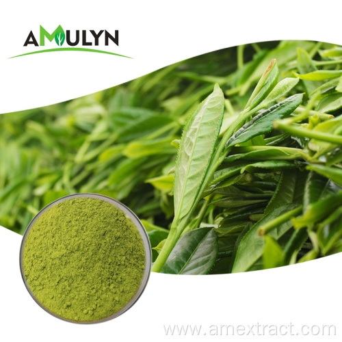 Premium Natural Matcha Green Tea Powder